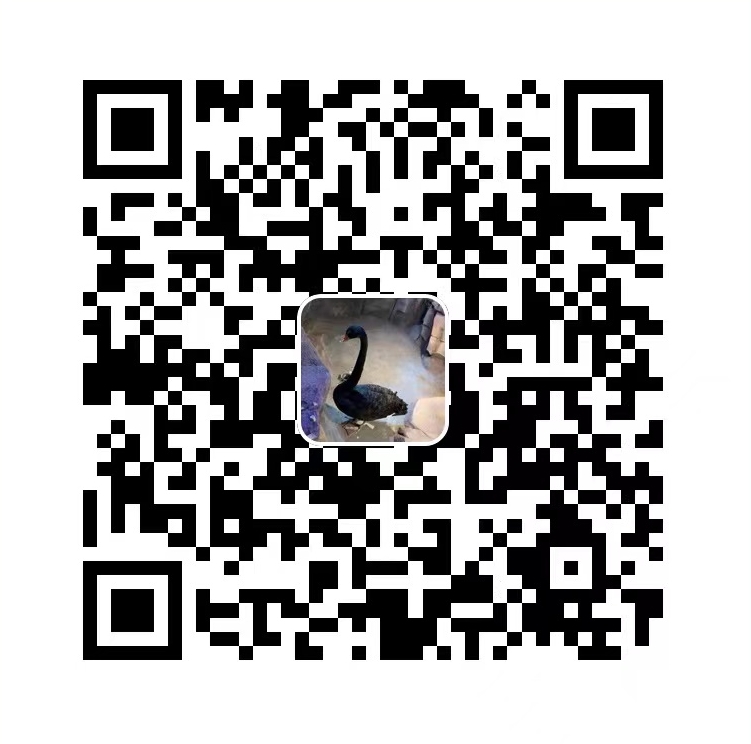 qrcode alipay